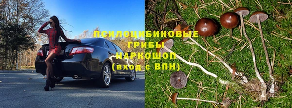 круглые Вяземский
