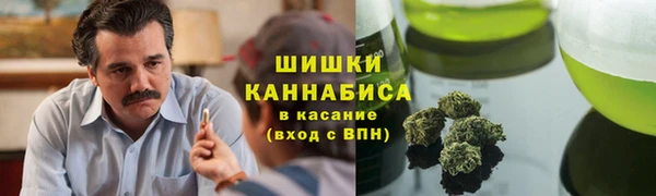 круглые Вяземский