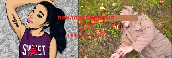 круглые Вяземский