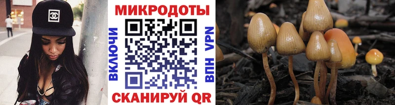 гидра ТОР  Чердынь  Галлюциногенные грибы ЛСД 